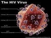 U Vranju najviše HIV pozitivnih među narkomanima i homoseksualcima